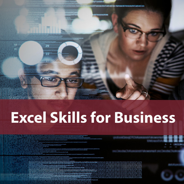 Excel Skills for Business Specialization