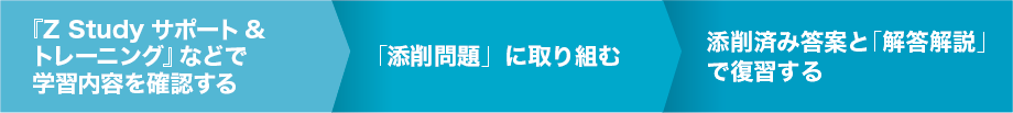 受験小論文コース／分野別攻略コース